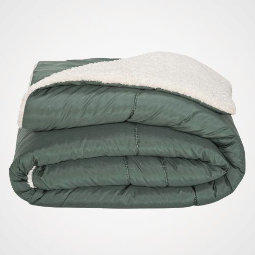 Floresta de Oslo | Queen