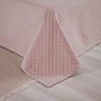 Blush Calm | Casal