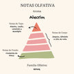 Vela Aromática Persolalizável | Alecrim | Kit com 6 - Linhas & Lares