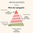 Vela Aromática Persolalizável | Flor de Cerejeira | Kit com 6 - Linhas & Lares