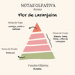 Vela Aromática Persolalizável |Flor de Laranjeira | Kit com 6 - Linhas & Lares