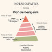 Vela Ritual Místico | Flor de Cerejeira