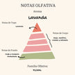 Vela Ritual Místico | Lavanda
