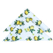 Guardanapo Allegra Citrus Fresh | 35x35cm | Oxford | Kit para 6 Lugares